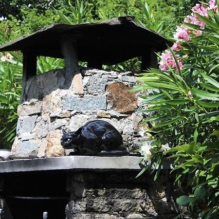 Casa Colori Villa Poggiridenti Bagian luar foto