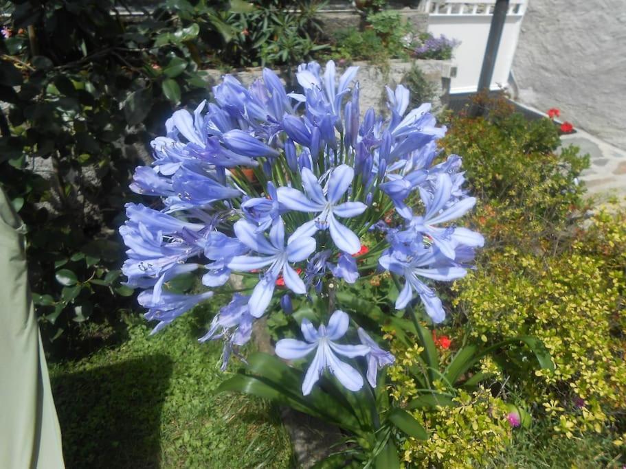 Casa Colori Villa Poggiridenti Bagian luar foto